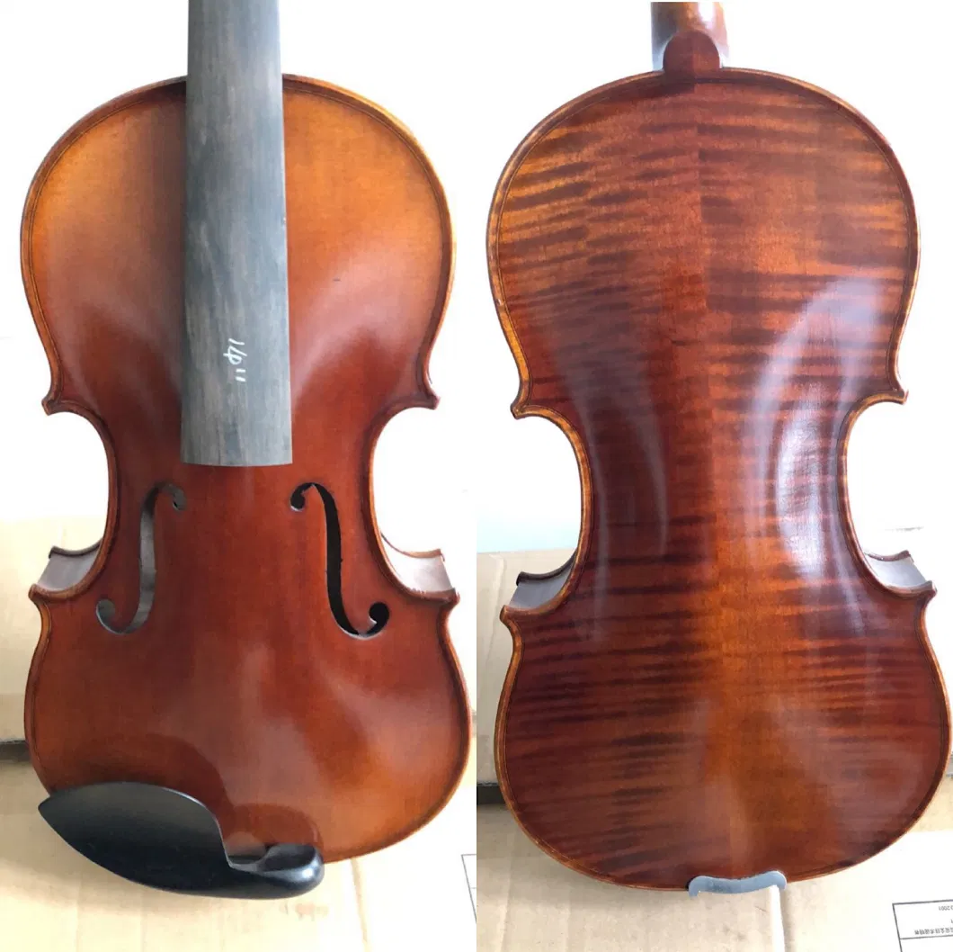 Advanced Antique Viola (AA100) Five Colors
