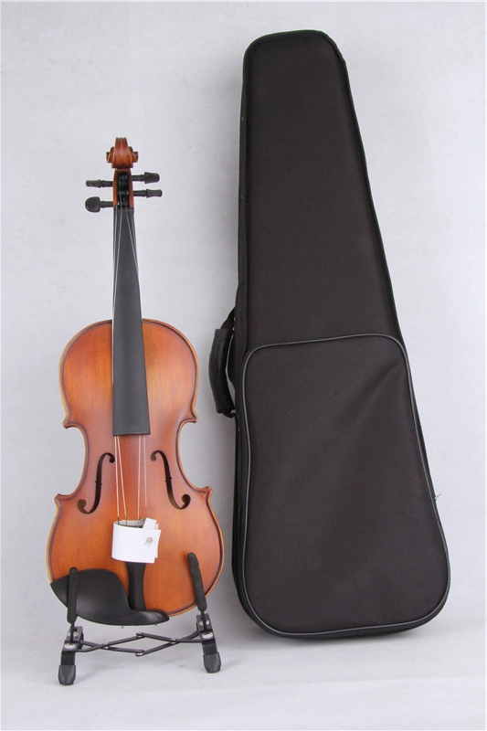 Popular Grade Violin (VLA-8(4/4~1/12))