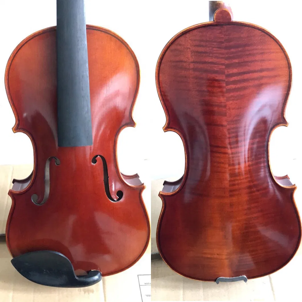 Advanced Antique Viola (AA100) Five Colors