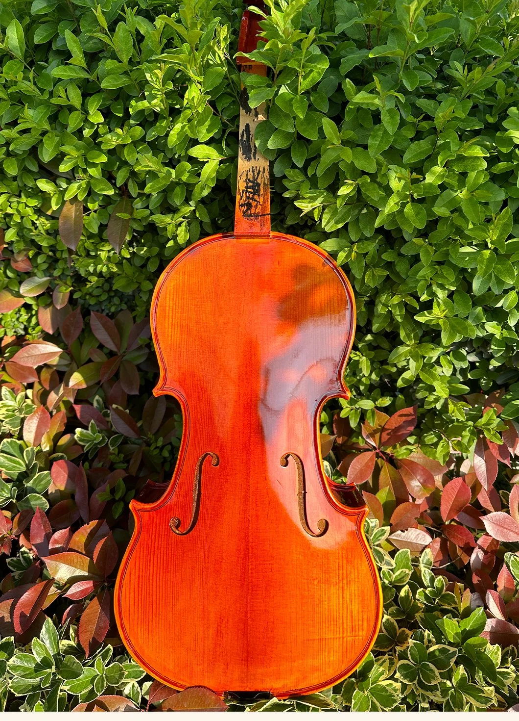 Manufacture High Quality Low Price Flame Solid Cello 1/16-4/4