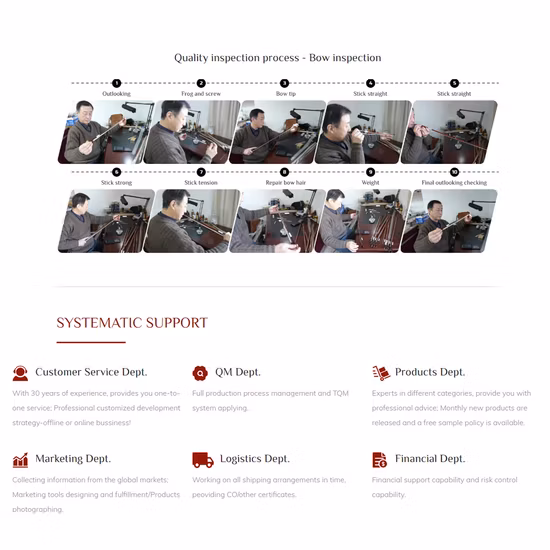 Quality Pernambuco Round Stick Violin Bow (WV902)