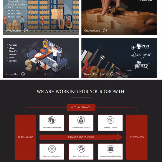 Quality Pernambuco Round Stick Violin Bow (WV902)