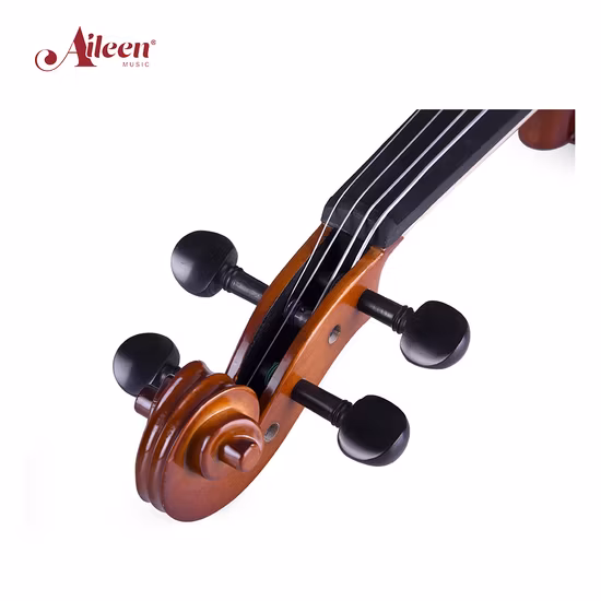 Student Solid Spruce Wood Viola